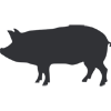 Icono de Cerdo