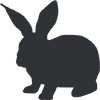 Icono de Conejo