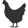 Icono de Pollo